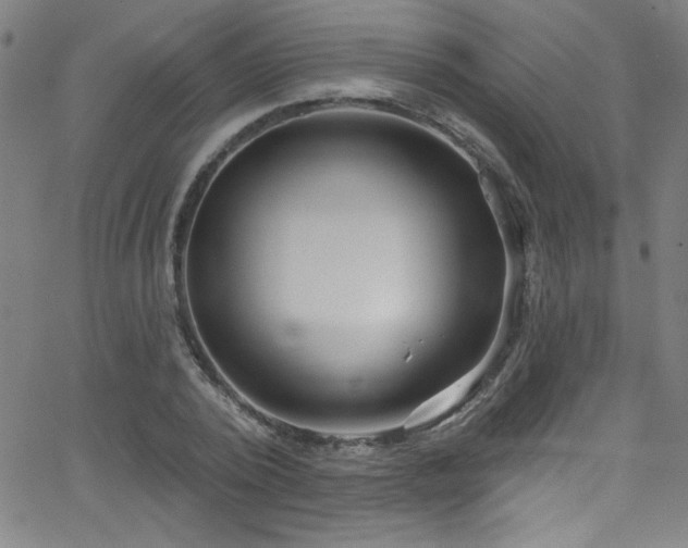 X0000068770784200604281237