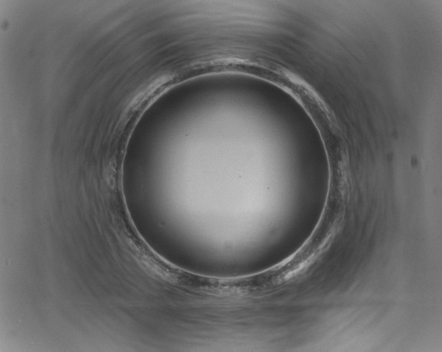 X0000068770785200604281237