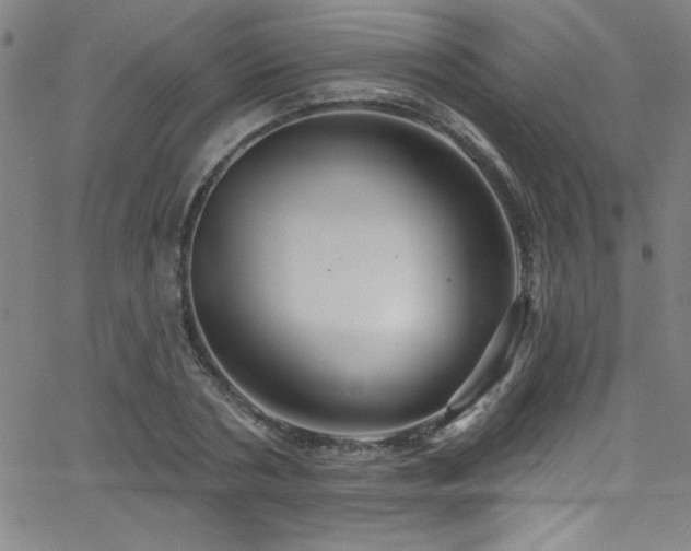 X0000068770786200604281237