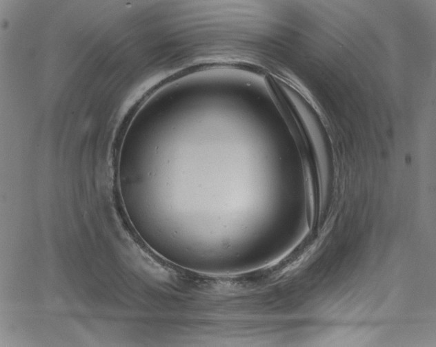 X0000068770787200604281237