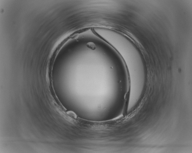 X0000068770788200604281237