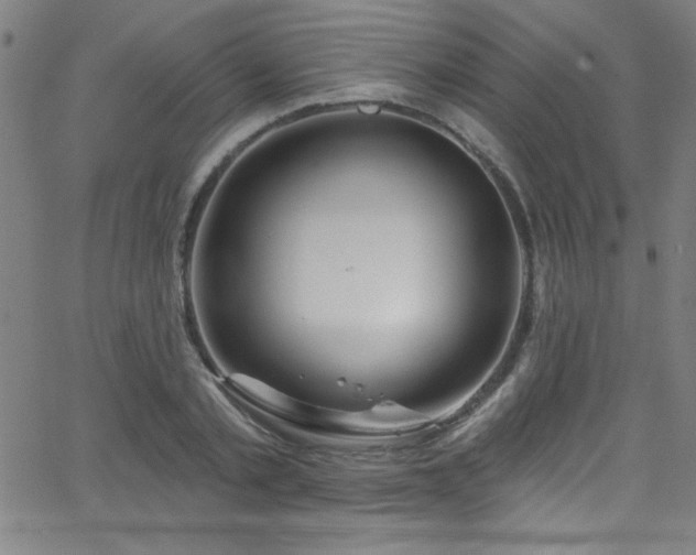 X0000068770789200604281237