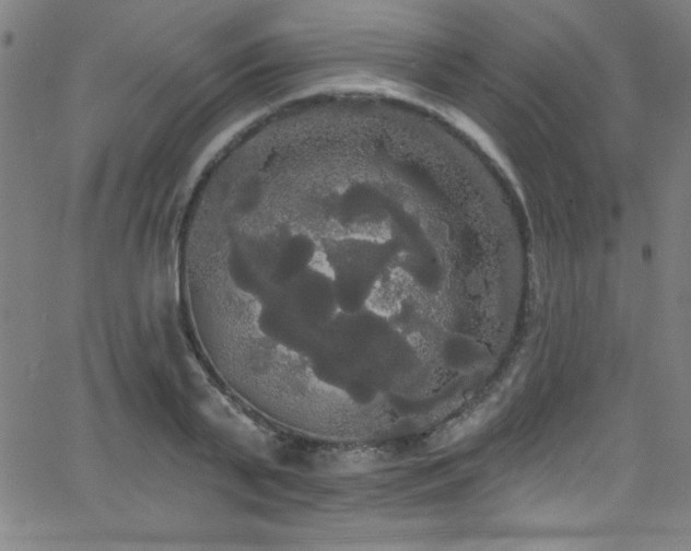 X0000068770791200604281237