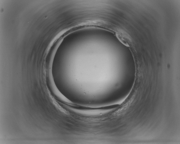 X0000068770792200604281237