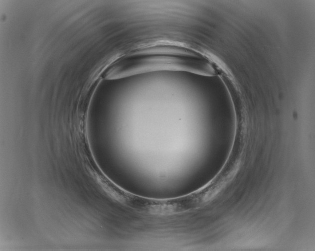 X0000068770793200604281237