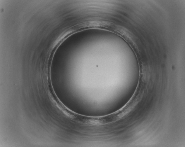 X0000068770794200604281237