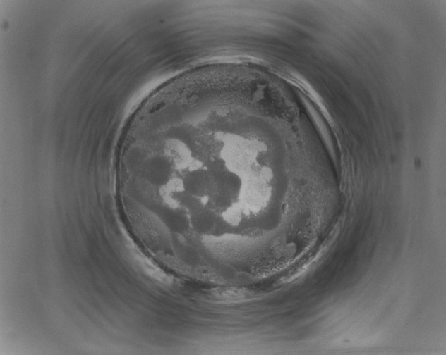 X0000068770795200604281237