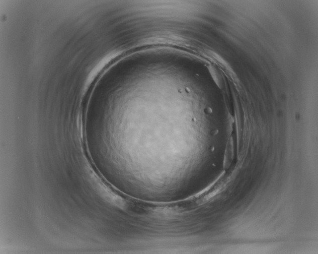 X0000068770796200604281237