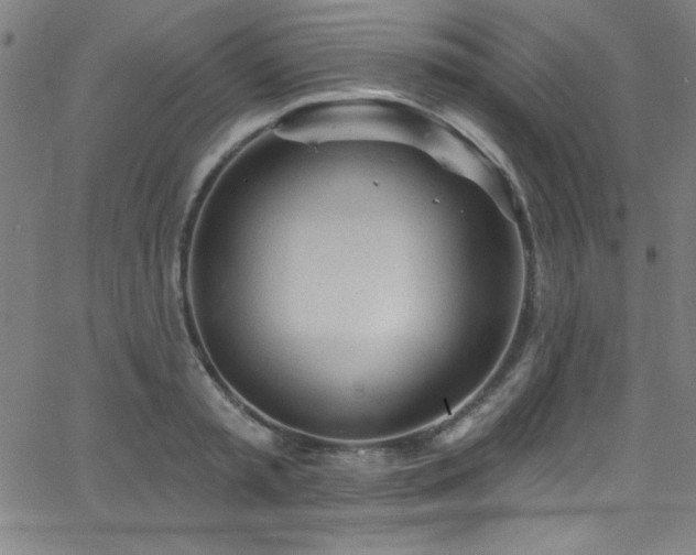 X0000068770797200604281237