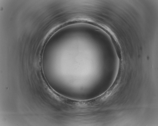 X0000068770799200604281237