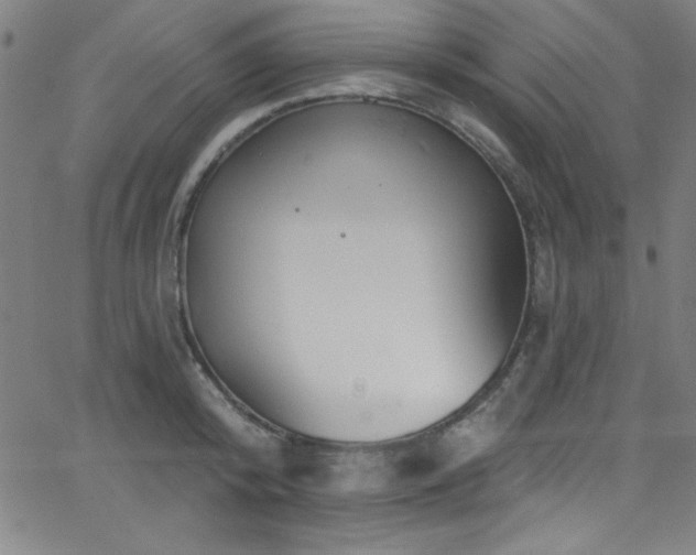 X0000068770800200604281237