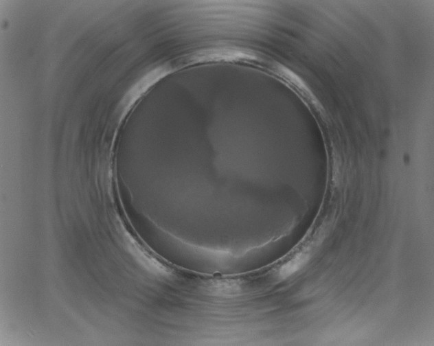 X0000068770802200604281237