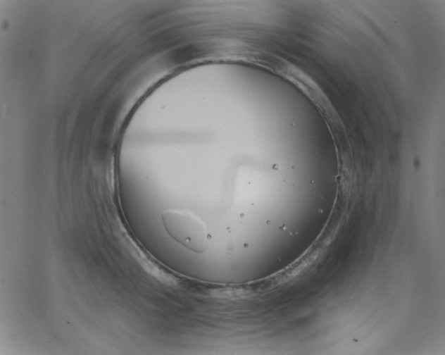 X0000068770804200604281237