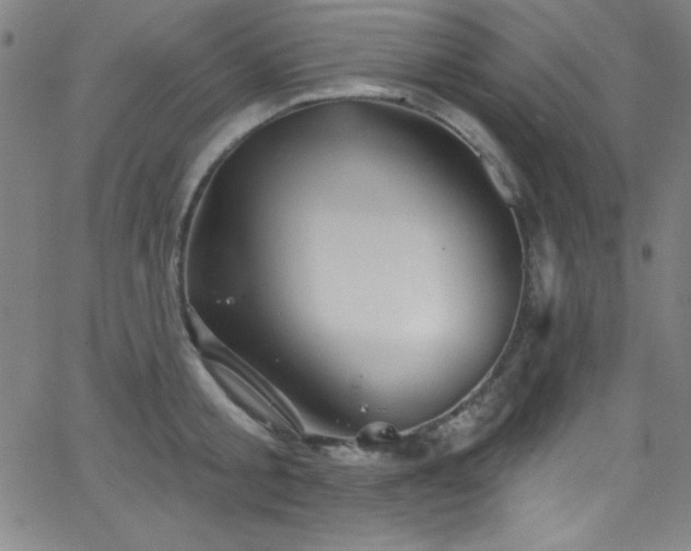 X0000068770805200604281237