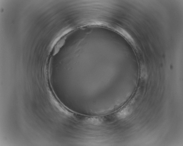 X0000068770806200604281237