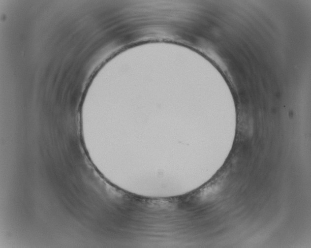 X0000068770807200604281237