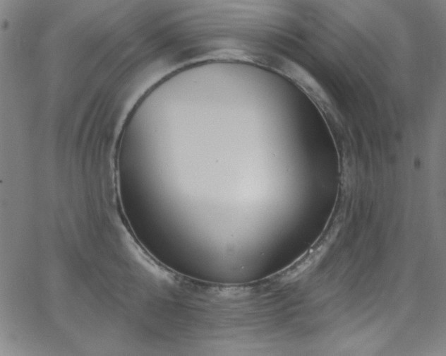 X0000068770808200604281237