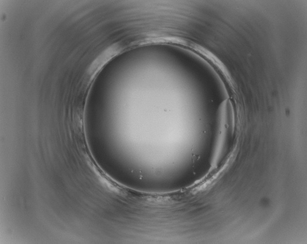 X0000068770809200604281237