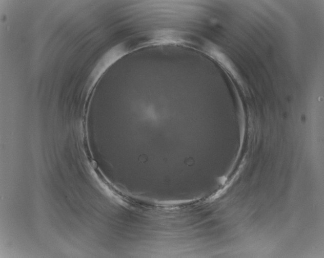 X0000068770810200604281237