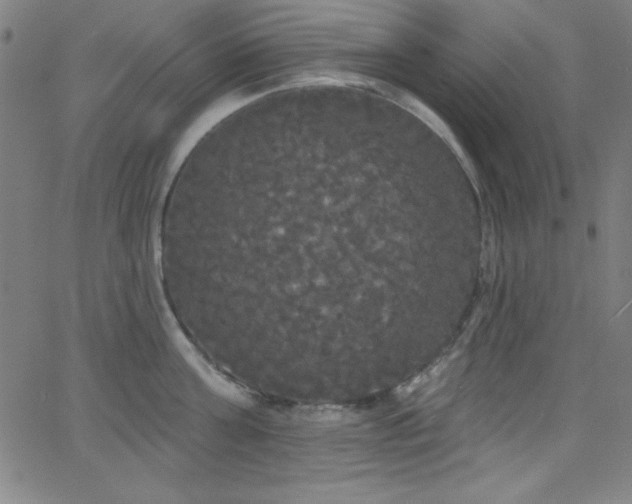 X0000068770811200604281237