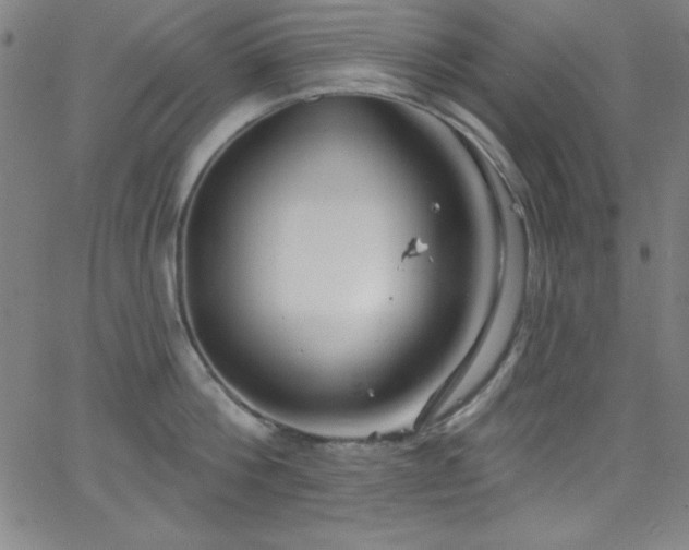 X0000068770812200604281237