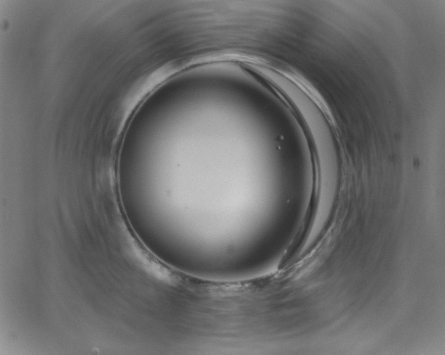 X0000068770813200604281237