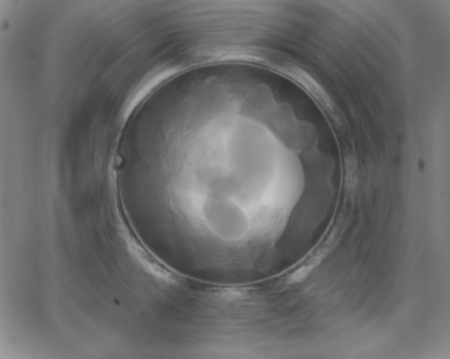 X0000068770814200604281237