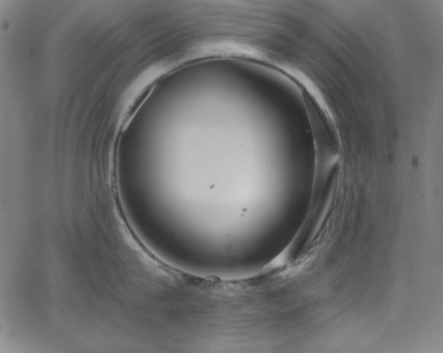 X0000068770815200604281237