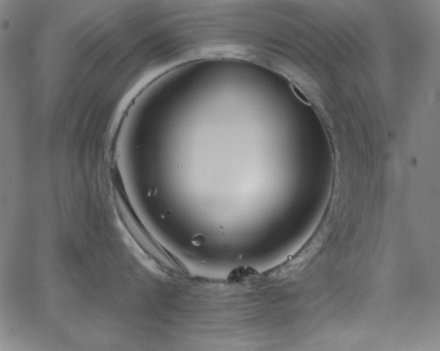 X0000068770816200604281237