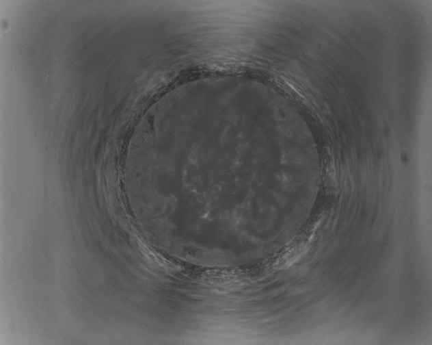 X0000068770817200604281236