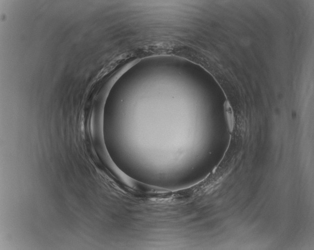 X0000068770818200604281236