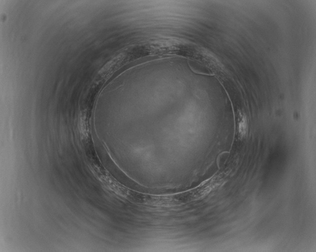 X0000068770819200604281236