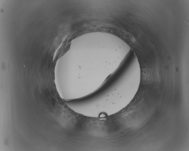 X0000068770820200604281236