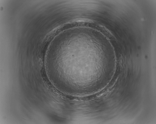 X0000068770821200604281236