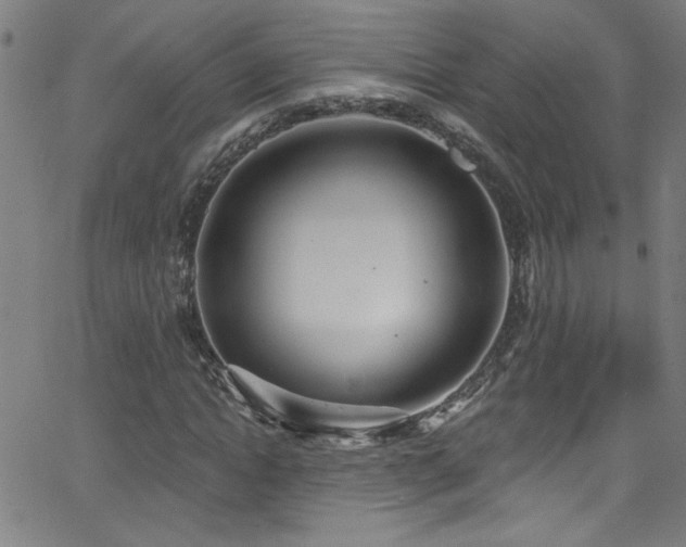 X0000068770822200604281236