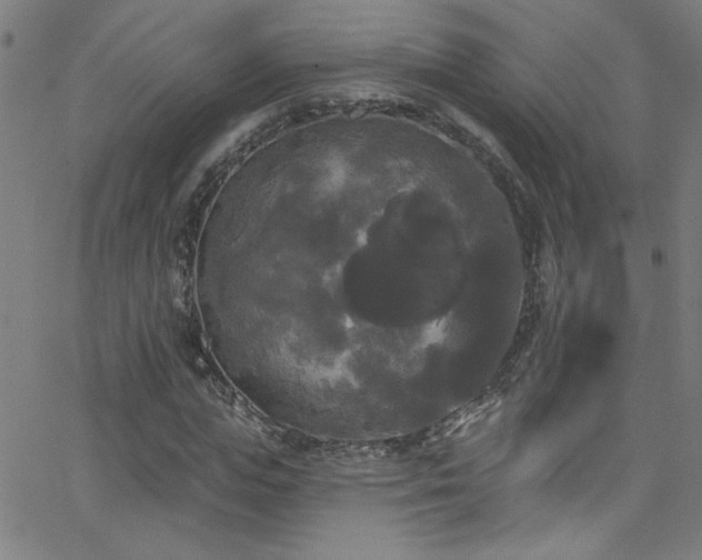 X0000068770823200604281236