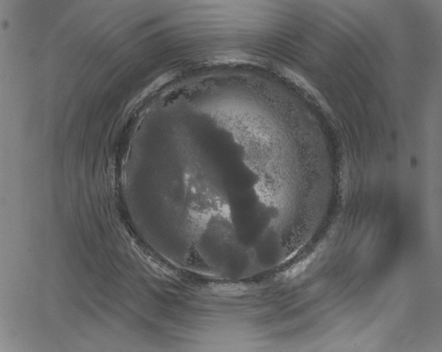 X0000068770825200604281236