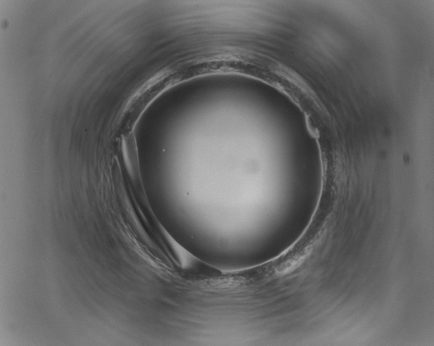 X0000068770826200604281236