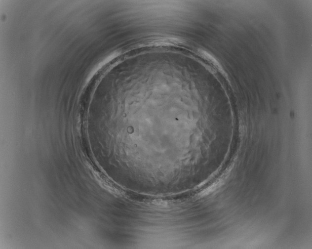 X0000068770827200604281236