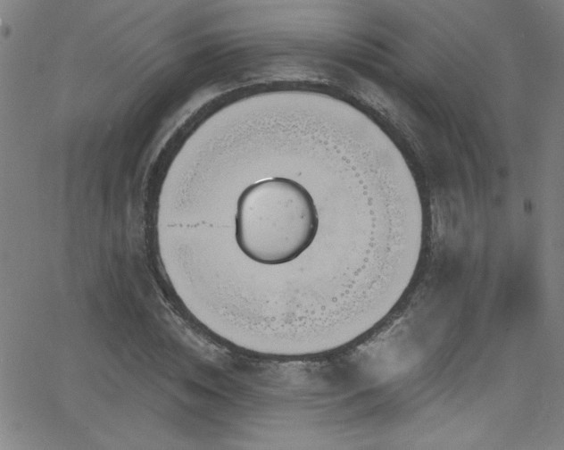 X0000068770828200604281236