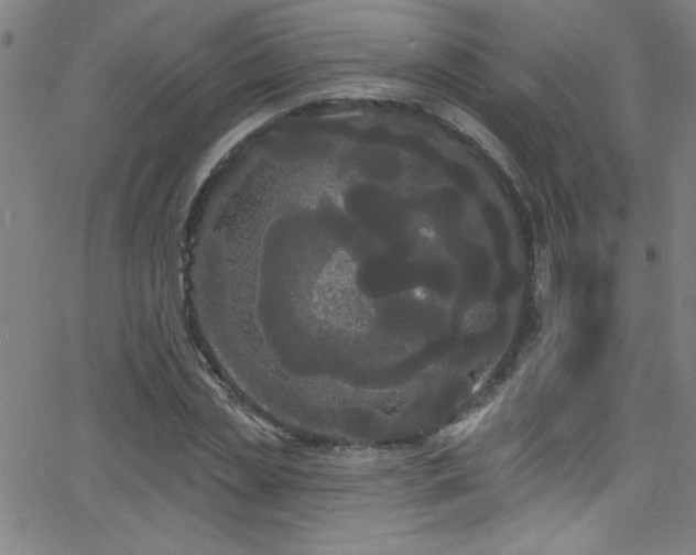 X0000068770829200604281236