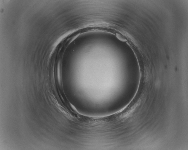 X0000068770830200604281236