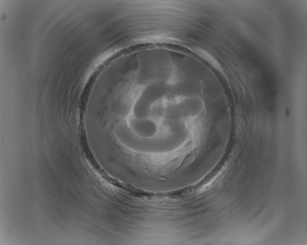 X0000068770831200604281236