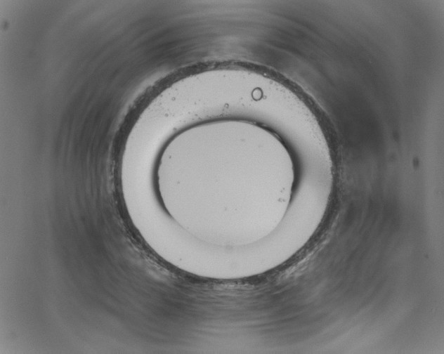 X0000068770832200604281236