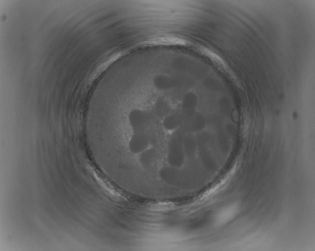 X0000068770833200604281236