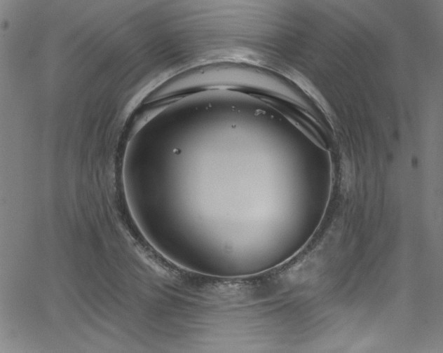 X0000068770834200604281236