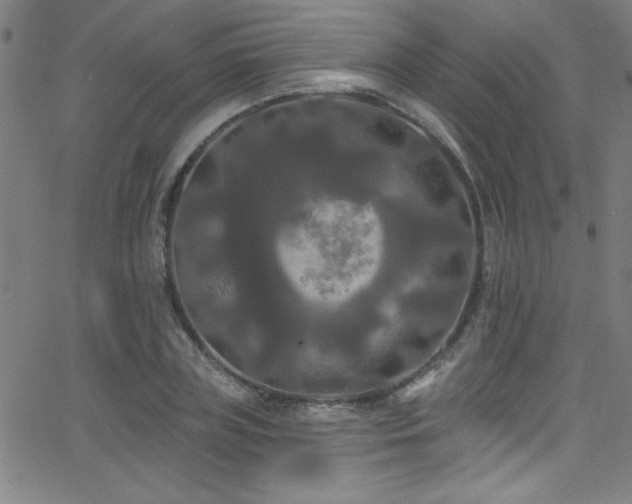 X0000068770835200604281236