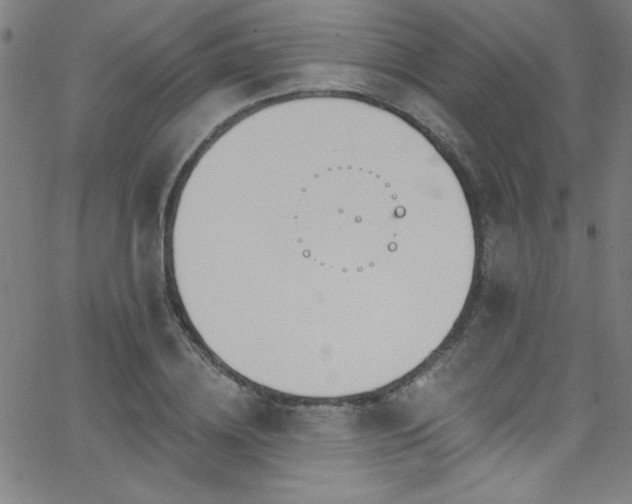 X0000068770836200604281236