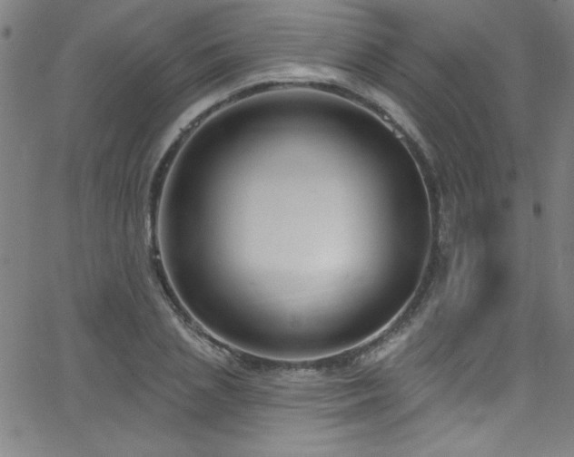 X0000068770837200604281236