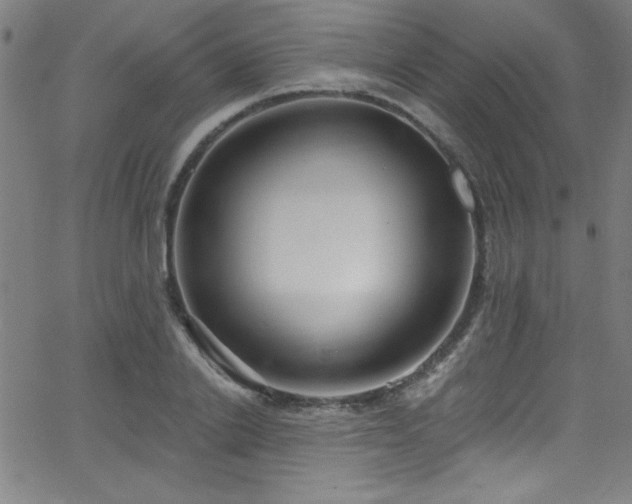 X0000068770838200604281236